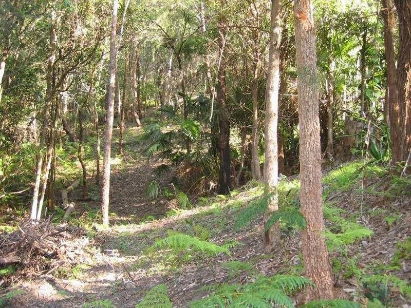 23 Tallean Road, Nelson Bay NSW 2315