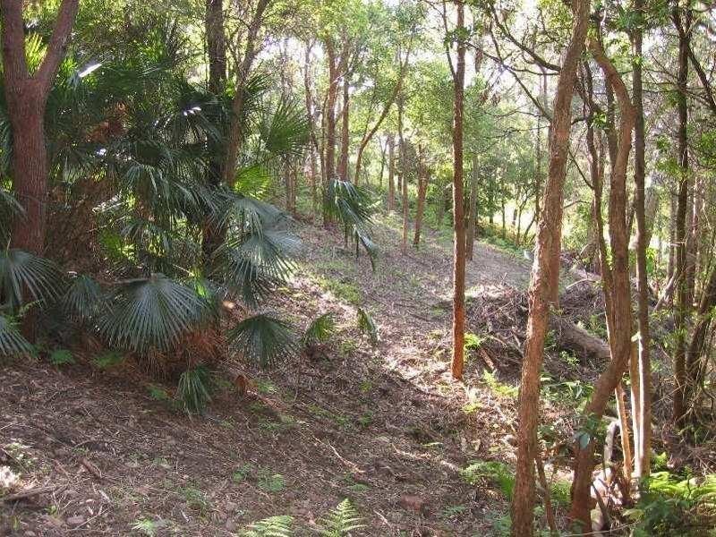 23 Tallean Road, Nelson Bay NSW 2315