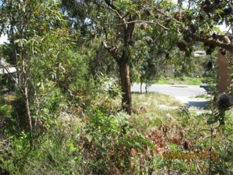 65 Wallawa Road, Nelson Bay NSW 2315