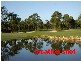 66 South Street, Medowie NSW 2318