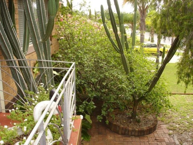 27 Penzance Street, Bassendean WA 6054