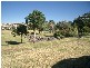 12 Condor Drive, Shell Cove NSW 2529