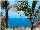 42 Shackel Avenue, Clovelly NSW 2031