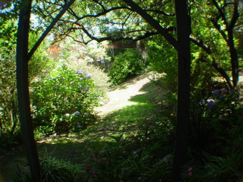 70 St Marks Road, Randwick NSW 2031