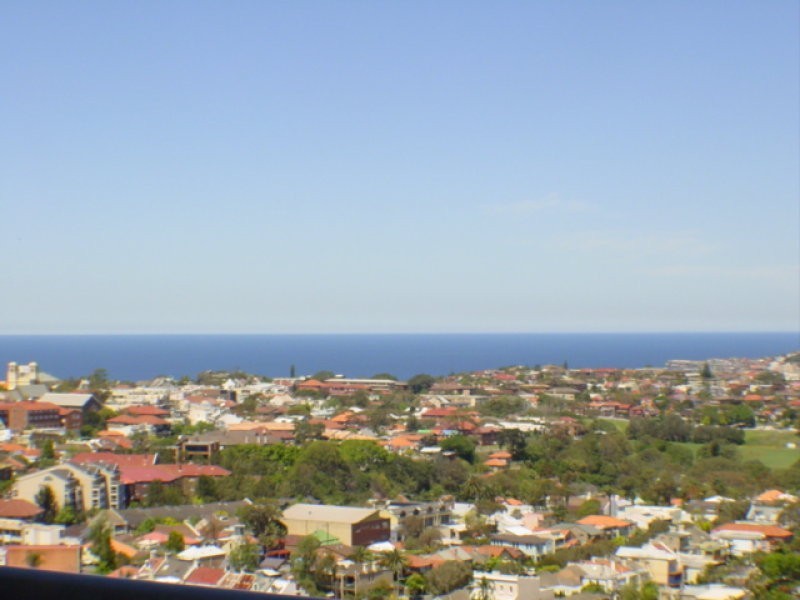 71 Spring Street, Bondi Junction NSW 2022