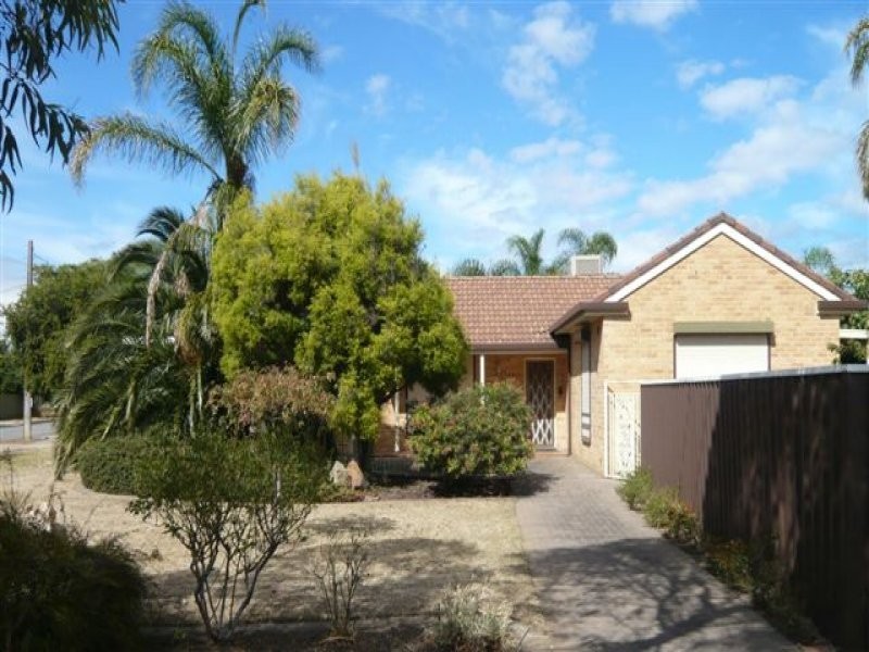 6 Cobham Avenue, Morphettville SA 5043