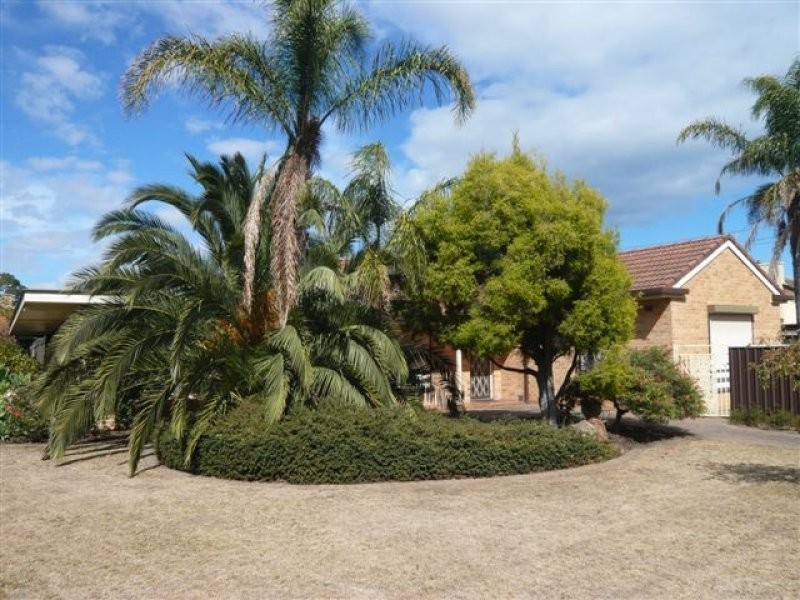6 Cobham Avenue, Morphettville SA 5043