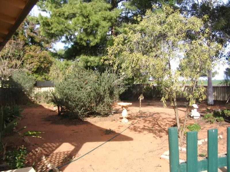 105 Paruna Road, Loxton SA 5333