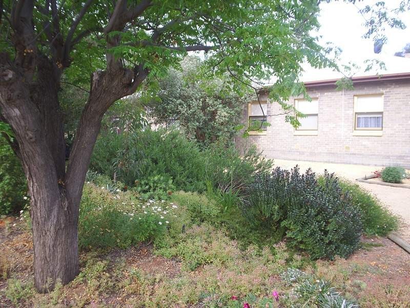 57 Coral Street, Loxton SA 5333