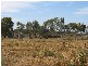 Lot 12 English Road, Barmera SA 5345