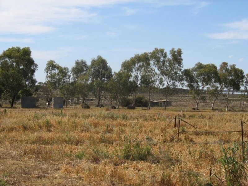 Lot 12 English Road, Barmera SA 5345