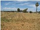 Lot 12 English Road, Barmera SA 5345