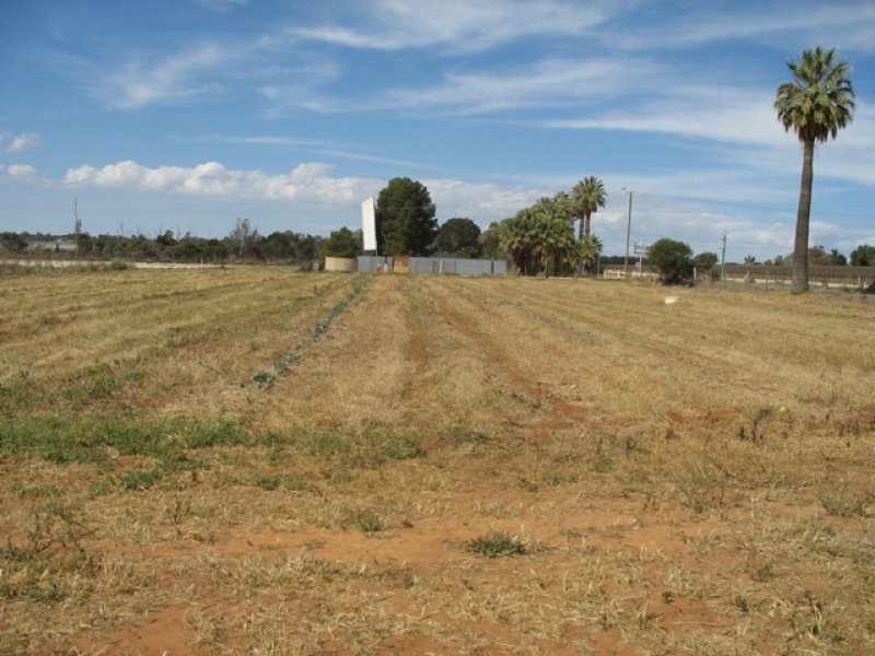 Lot 12 English Road, Barmera SA 5345