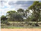 15 Maple Street, Barmera SA 5345