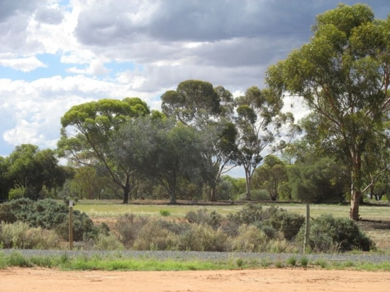 15 Maple Street, Barmera SA 5345