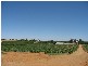 Sec 1380 Hardwick Road, Berri SA 5343