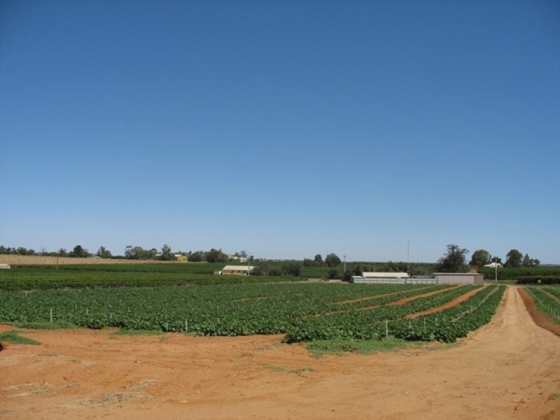 Sec 1380 Hardwick Road, Berri SA 5343