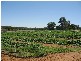 Sec 1380 Hardwick Road, Berri SA 5343