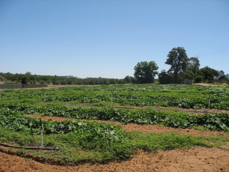Sec 1380 Hardwick Road, Berri SA 5343