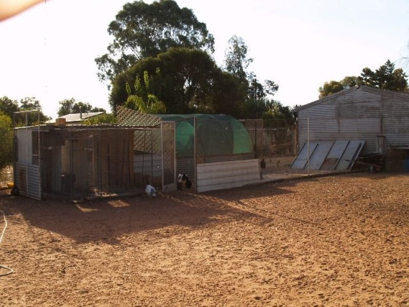 Sec 570 Vasey Road, Waikerie SA 5330