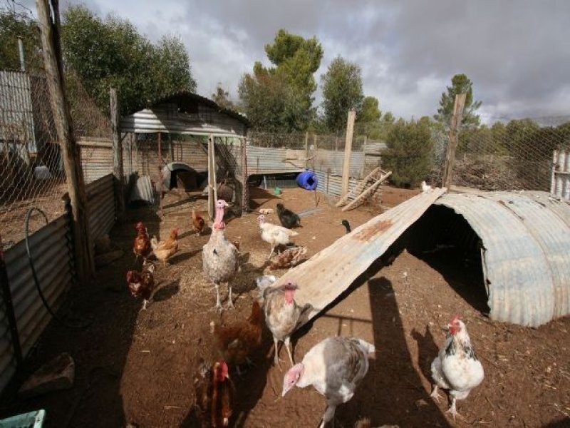 Lts 70and93 Wolseley Street, Taplan SA 5333