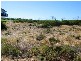 Lot 64 Ridgeway Private Estate, Murbko SA 5320