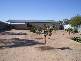 6 Egerton Street, Blanchetown SA 5357