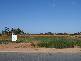 7 Wills Court, Barmera SA 5345