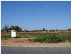 7 Wills Court, Barmera SA 5345