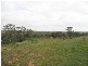 Lot 7 Proud Avenue, Loxton SA 5333