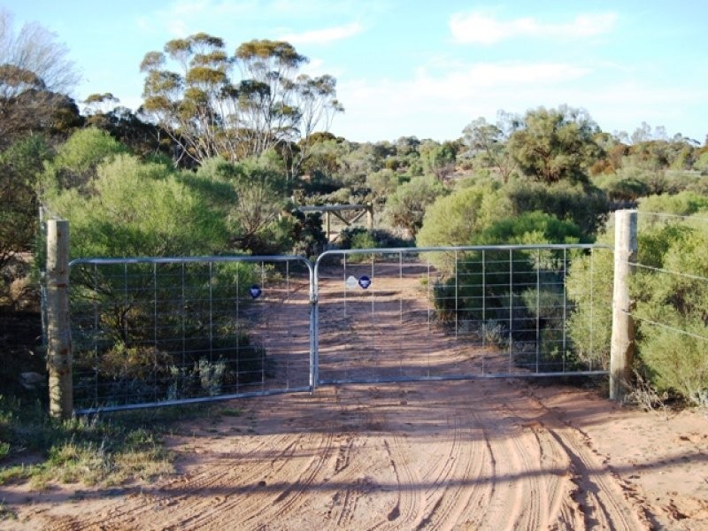 Lot 100 Chapple Road, Winkie SA 5343
