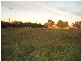 36 Playford Road, Sunlands SA 5322