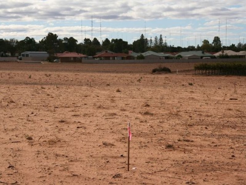 510 Strangman Road, Waikerie SA 5330