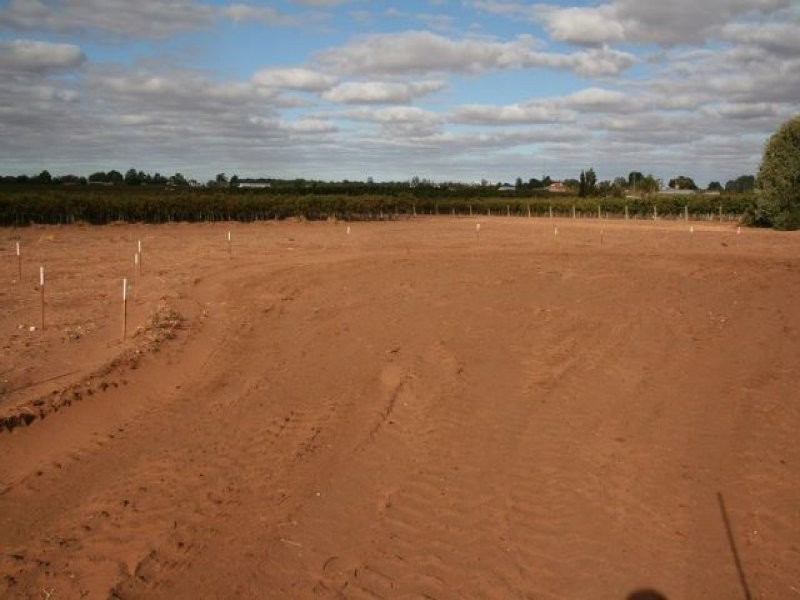 510 Strangman Road, Waikerie SA 5330