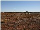 Lot 8 Drummond Avenue, Loxton SA 5333