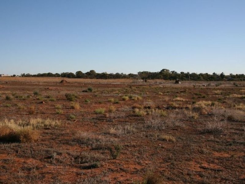Lot 8 Drummond Avenue, Loxton SA 5333