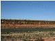 Lot 8 Drummond Avenue, Loxton SA 5333