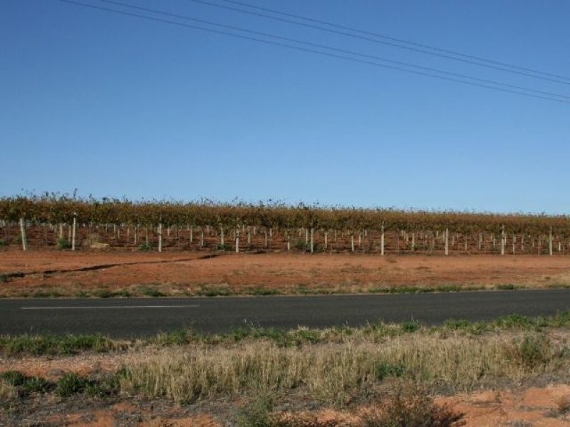 Lot 8 Drummond Avenue, Loxton SA 5333