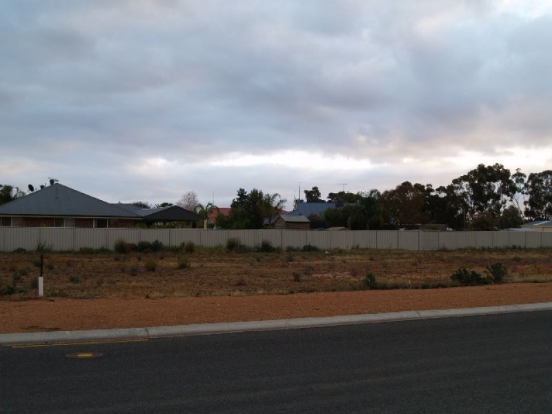 45 Brooke Street, Barmera SA 5345
