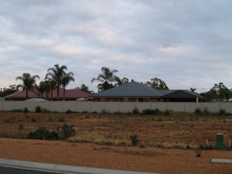 45 Brooke Street, Barmera SA 5345