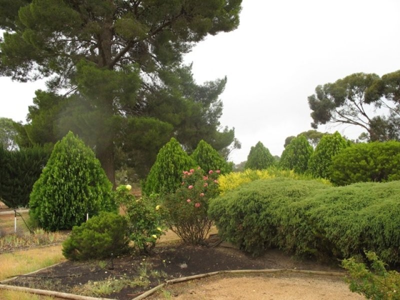 Lot 164 Moorook Road, Moorook SA 5332