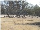 Sec 42 Hundred of Parcoola, Barmera SA 5345