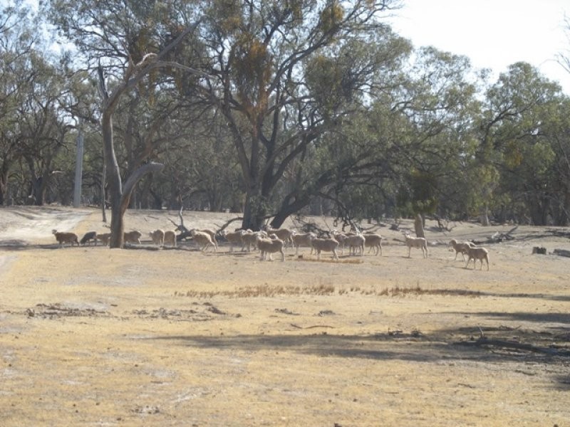 Sec 42 Hundred of Parcoola, Barmera SA 5345