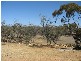 Sec 42 Hundred of Parcoola, Barmera SA 5345