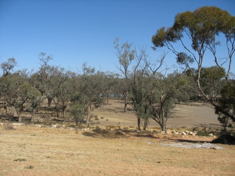 Sec 42 Hundred of Parcoola, Barmera SA 5345