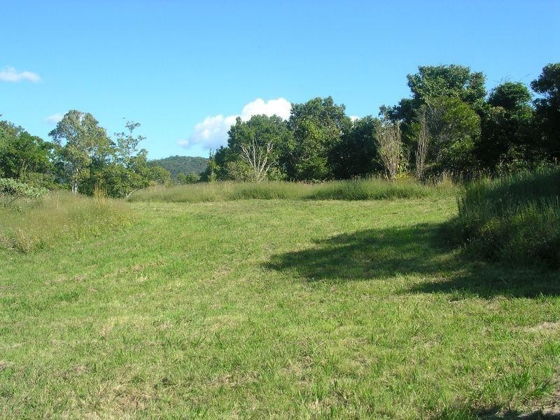 550 Trees Road, Tallebudgera QLD 4228