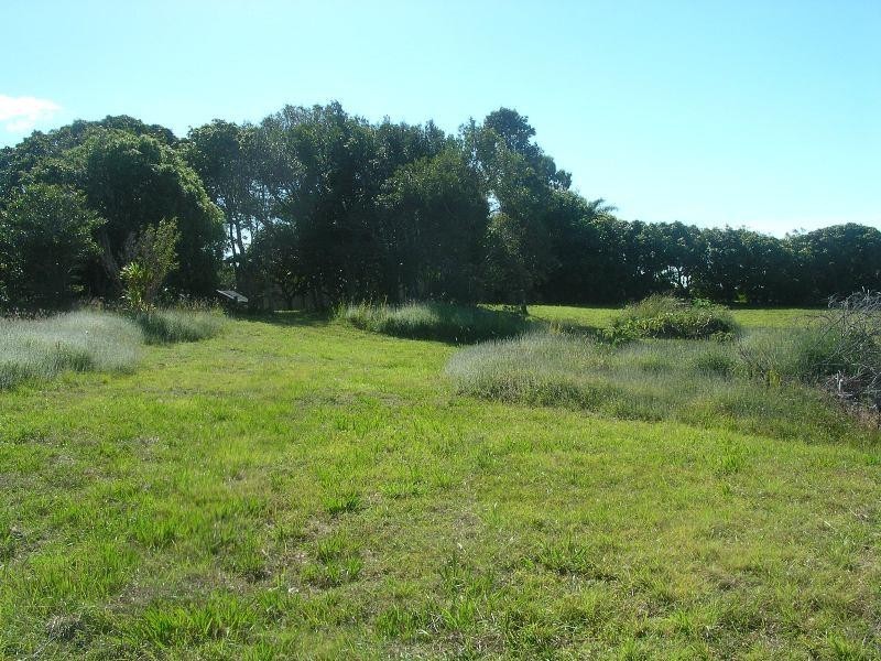 550 Trees Road, Tallebudgera QLD 4228