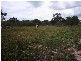 Lot 19 Bicentennial Drive, Agnes Water QLD 4677