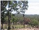 Lot 5 Baldaw, Agnes Water QLD 4677
