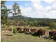 Lot 5 Baldaw, Agnes Water QLD 4677